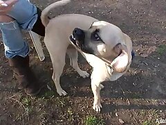 Only Asian Porn Videos 3